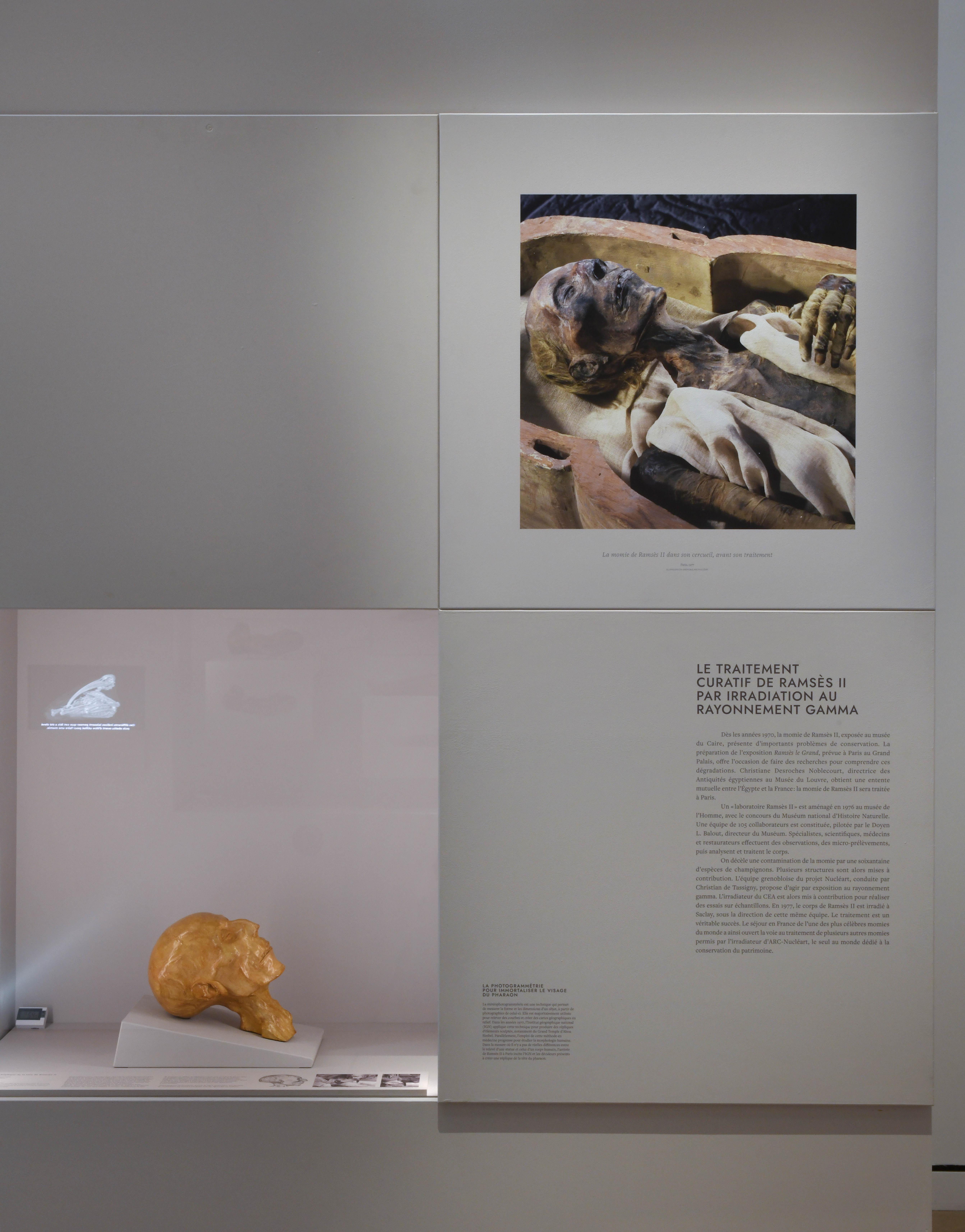 Traitement au rayon Gamma de la momie de Ramses II