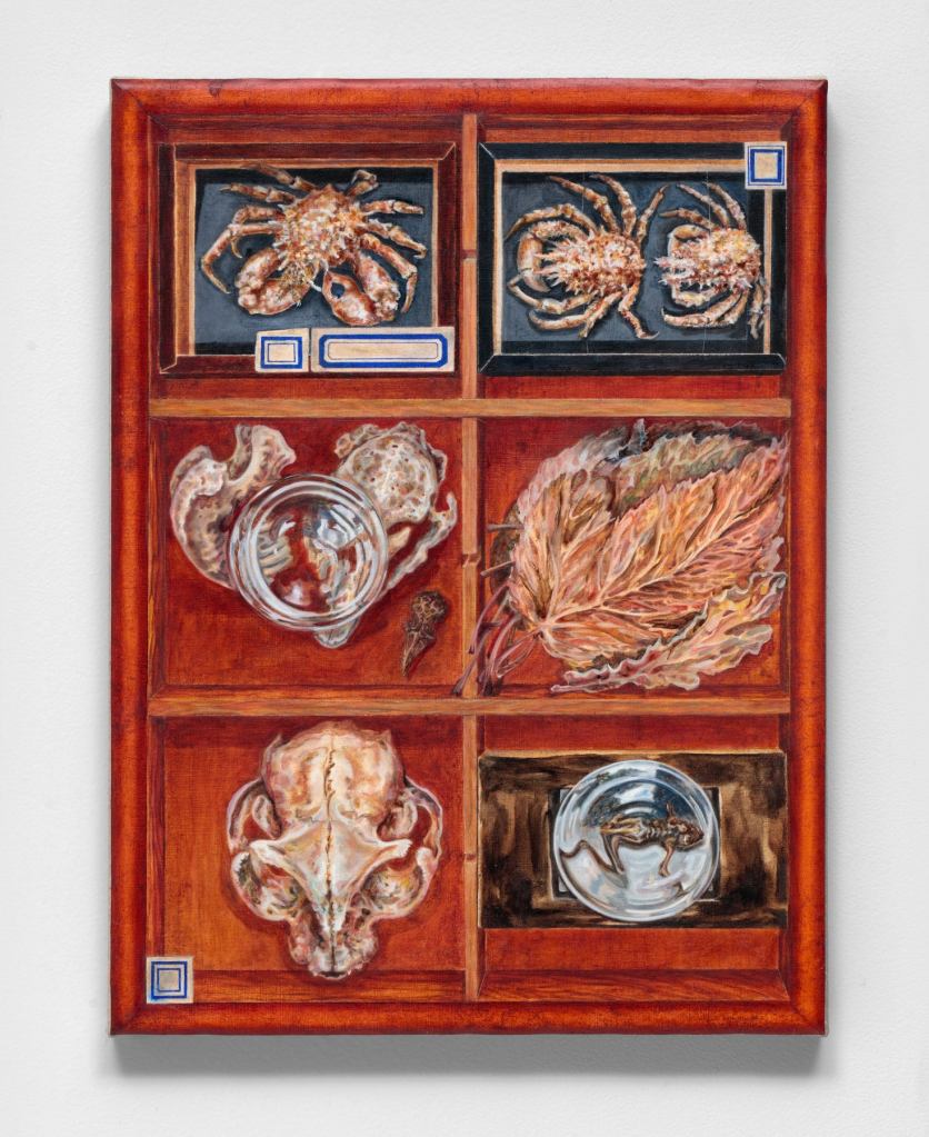 Cabinet of Curiosities 2021 huile sur lin grossier monté sur toile 40 x 30 cm
