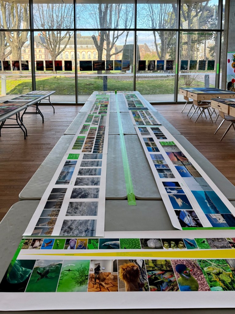 Planches contact sur tréteaux 2