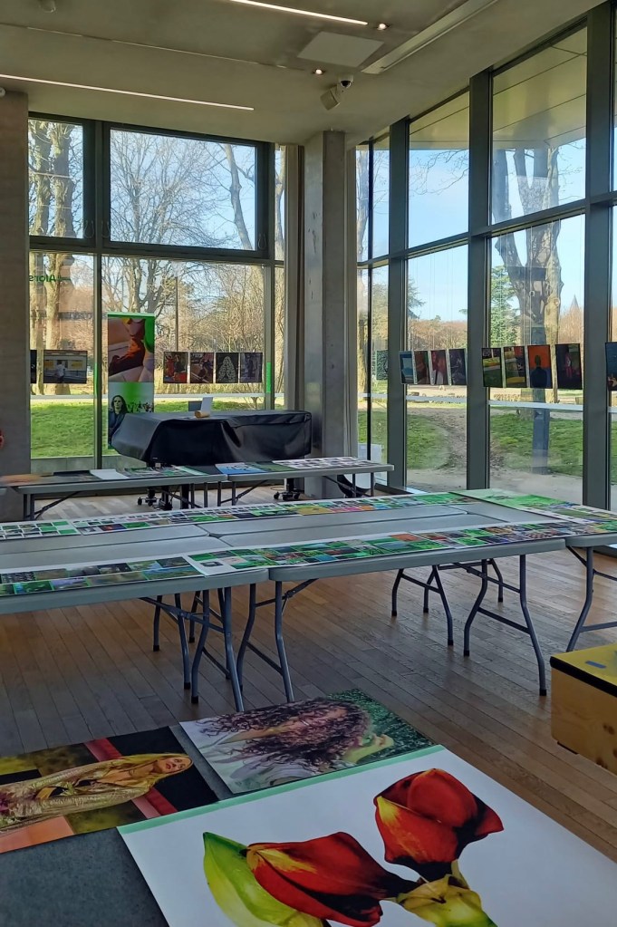 Planches contact sur tréteaux 1