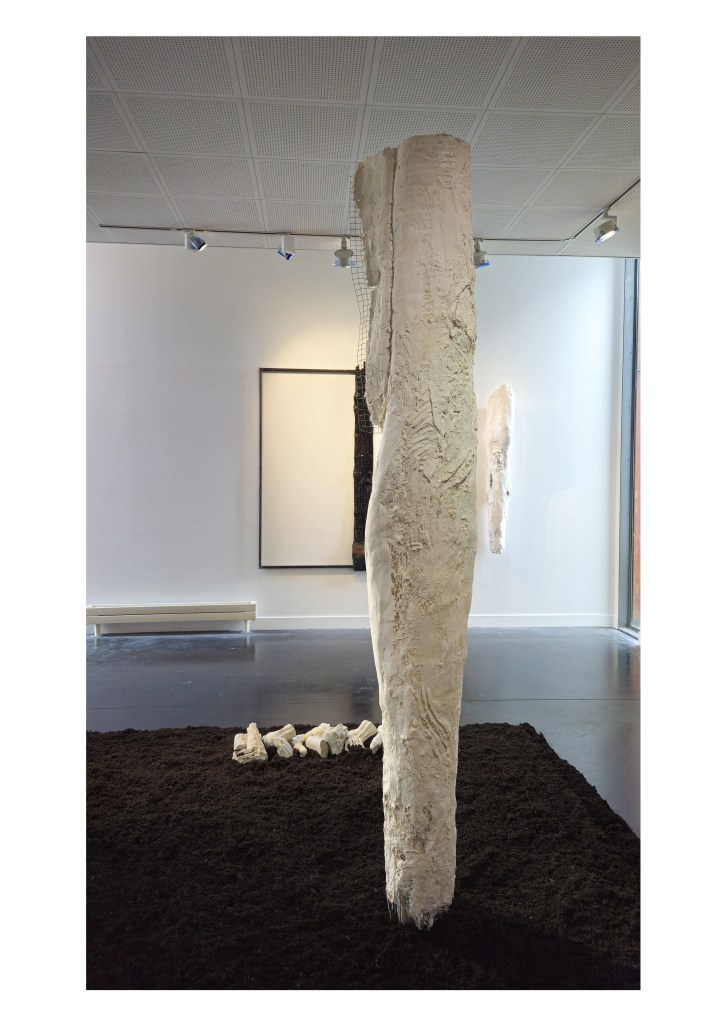 Vue de l'expostion © Roxane Gouguenheim